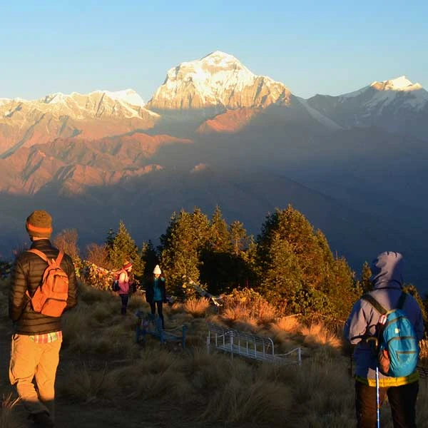 pokhara poon hill ghorepani day trip by jeep