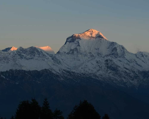 Ghorepani poon hill ghandruk circuit trek pictures ()