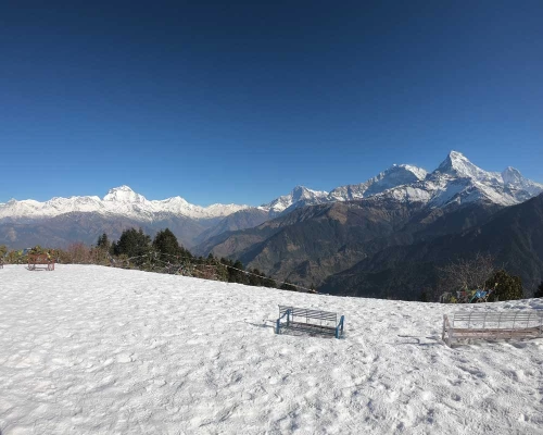 Ghorepani poon hill ghandruk circuit trek pictures ()