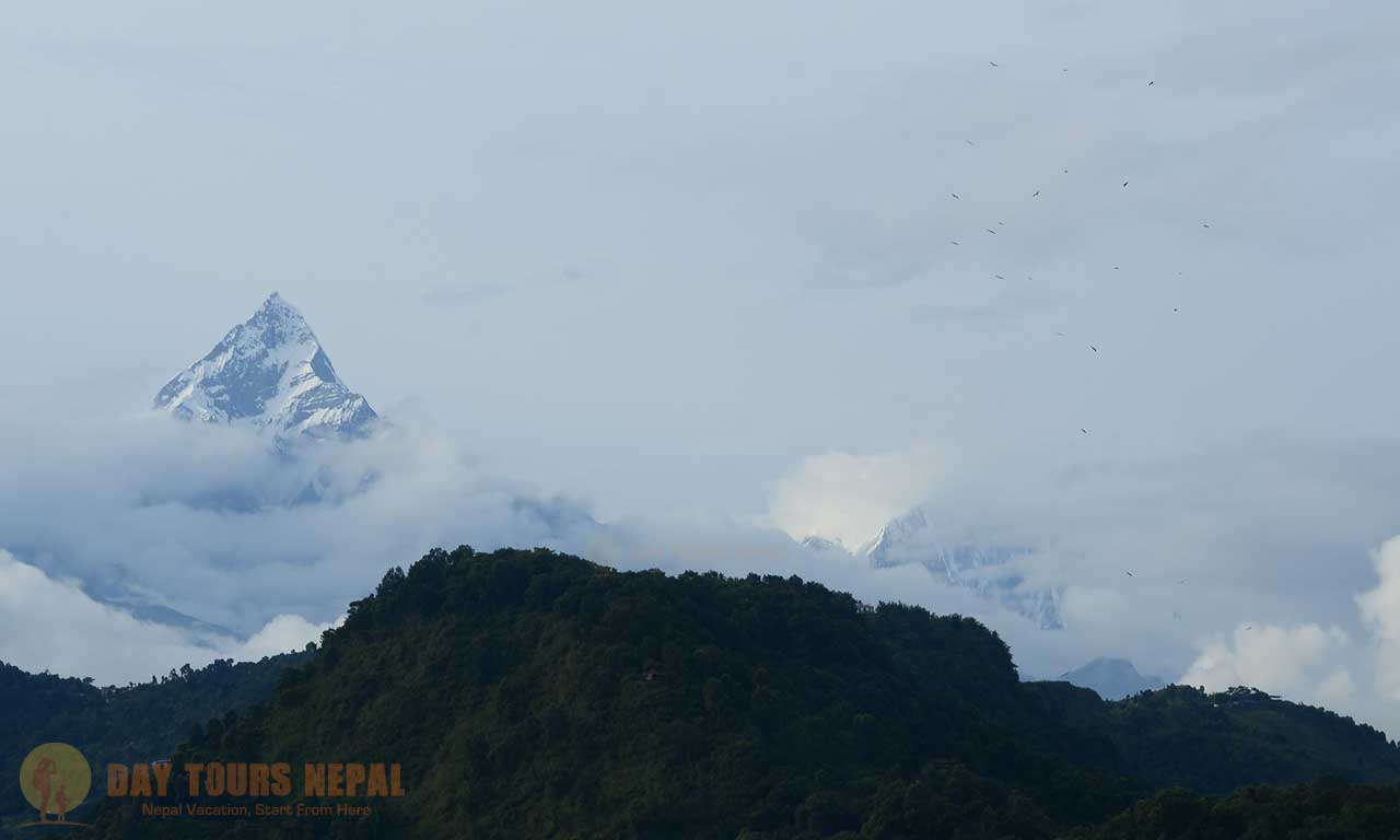 nepal travel experince pokhara in august