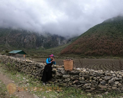  Days Manaslu Circuit Larkey Pass Trek Picture Itinerary Trip Cost ()