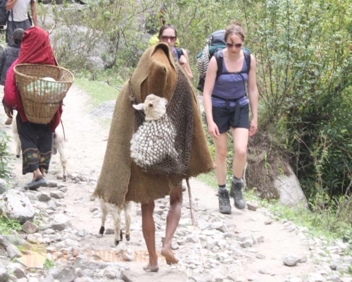  Days Manaslu Circuit Larkey Pass Trek Picture Itinerary Trip Cost ()