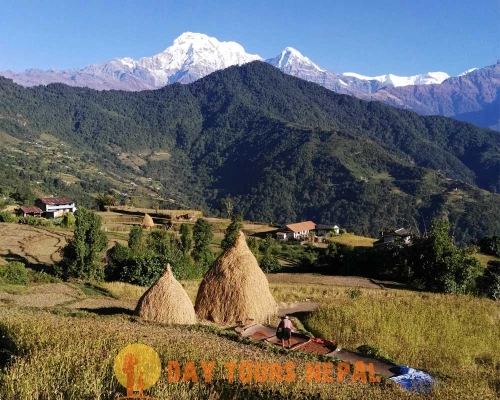  Days Trek In Nepal Pokhara Dhampus Village ()