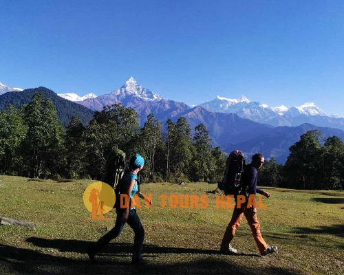  Days Trek In Nepal Pokhara Dhampus Village ()