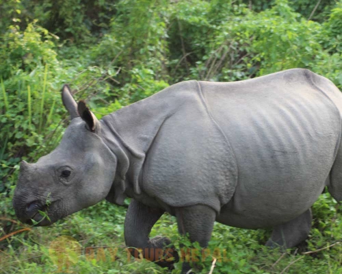  Days Nepal Tour Package With Day Tours Nepal ()