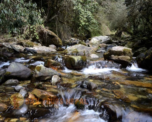 Annapurna Base Camp Trek Picutres Via Ghorepani Poon Hill ()
