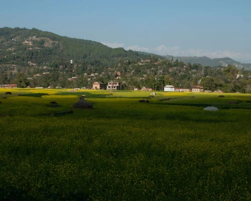 Balthali Village Trek Farming