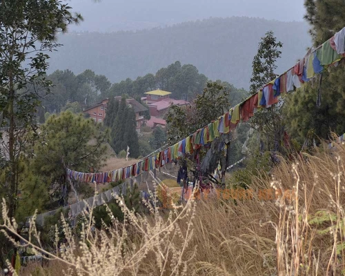 Champa Devi Hill Day Hike From Kathmandu Pharping Day Tours Nepal ()