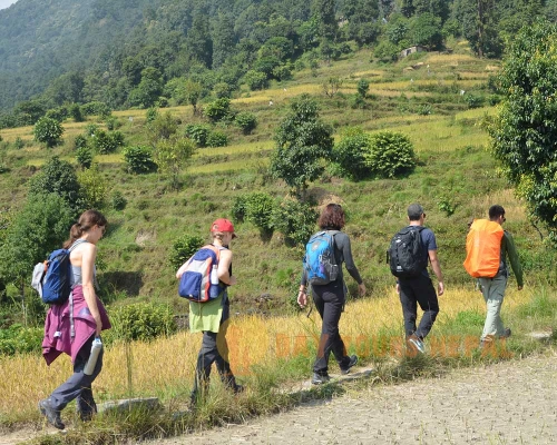 Dhampus Village Day Hiking Trip From Pokhara ()