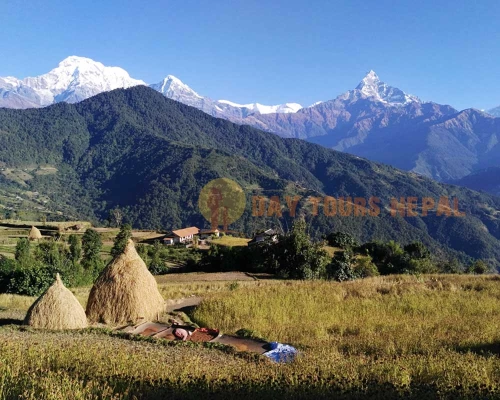 Dhampus Village Day Hiking Trip From Pokhara ()