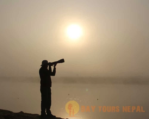 Jungle Safari Tour In Nepal Bardia National Park ()