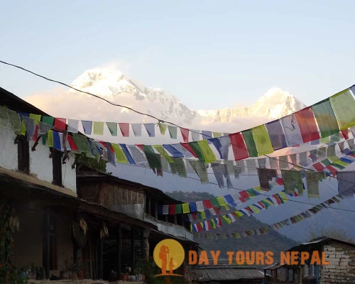 Nepal Festival Tour Dashain Festival Tour Package ()