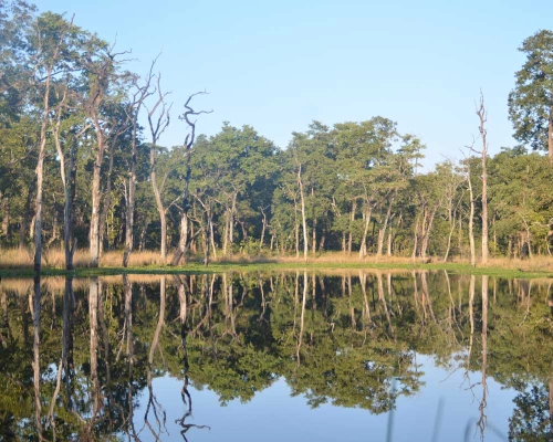 Nepal Safari Tour Pacakge Chitwan National Park Days ()