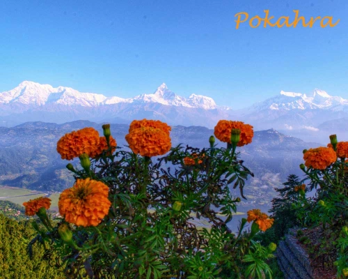 Nepal Tour Package Honey Moon Tour With Day Tours Nepal ()