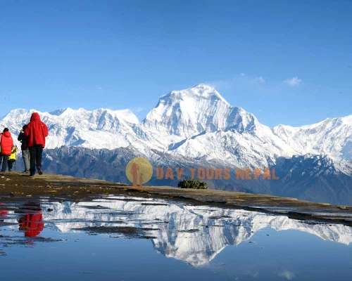 Pokhara To Ghorepani Poon Hill Drive Tour ()