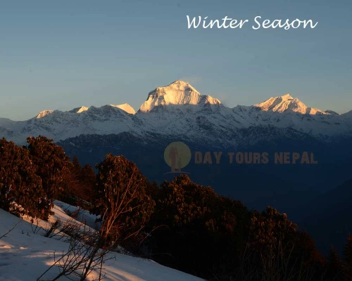 Pokhara To Ghorepani Poon Hill Drive Tour ()