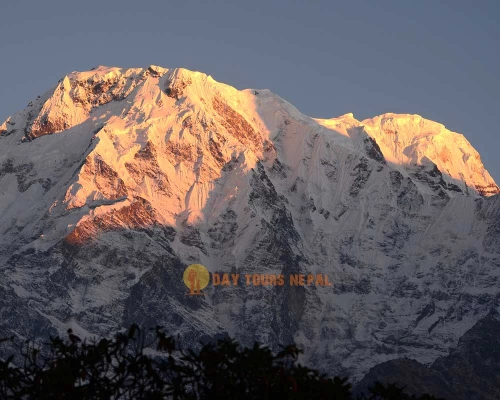 Short To Days Mardi Himal Trek From Pokhara Nepal ()