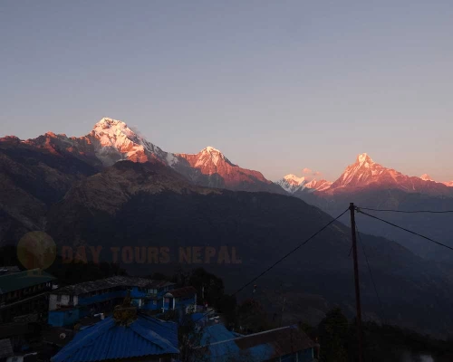 Short Ghorepani Ghandruk Trek In Nepal