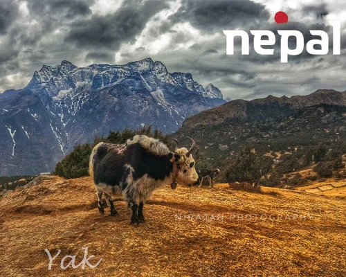 Short Mount Everest Trek From Kathmandu Nepal ()