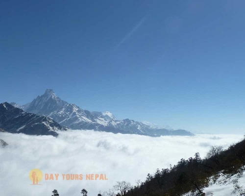 Short Trek In Nepal Khopra Danda ()