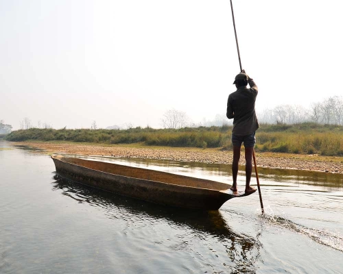 Taste Of Nepal Tour Jungle Safari