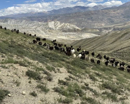 Upper Mustang Luxury Jeep Drive Tour Highlights ()