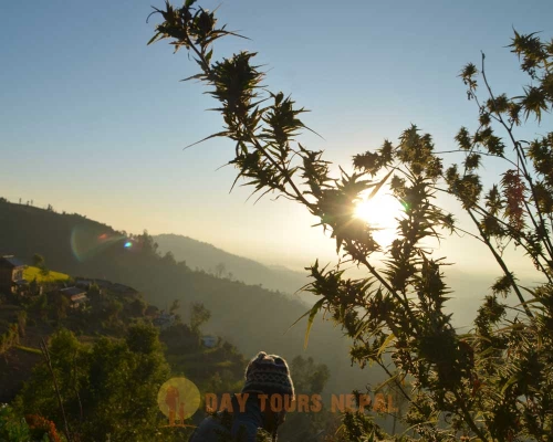 Weed And Smoke With Sadhus In Nepal ()