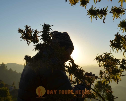 Weed And Smoke With Sadhus In Nepal ()
