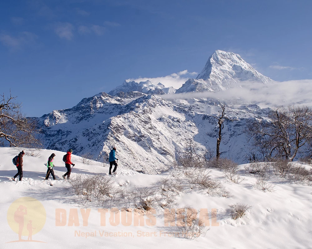 Muldai View Point Trek Video