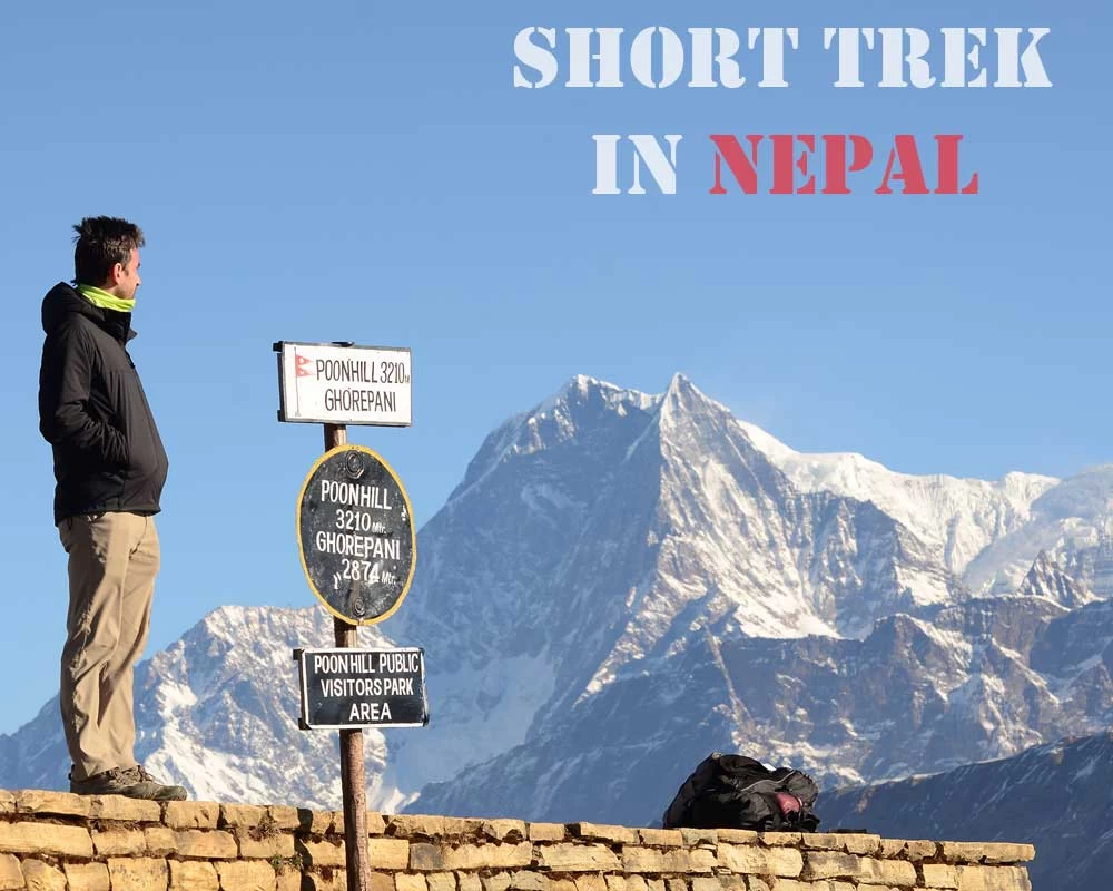 Short Ghorepani Ghandruk Trek Video